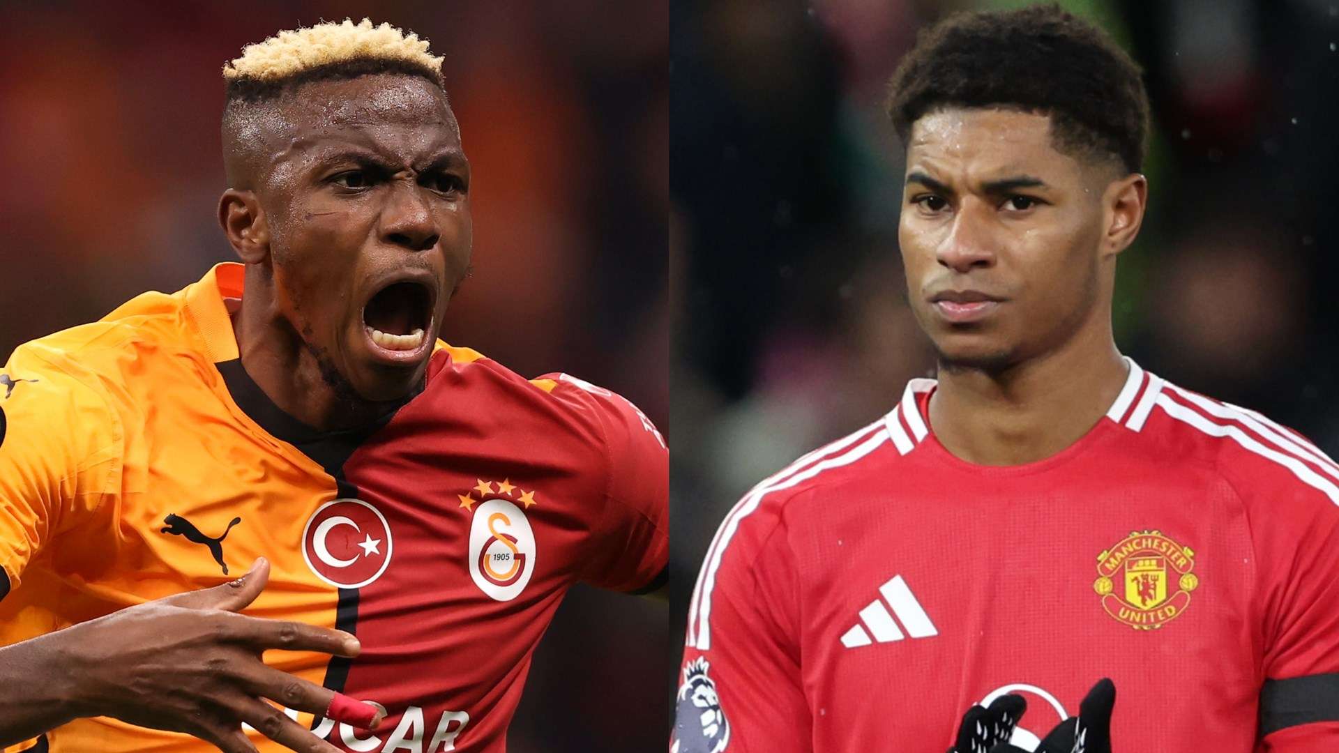 無疑都體現 無疑都體現