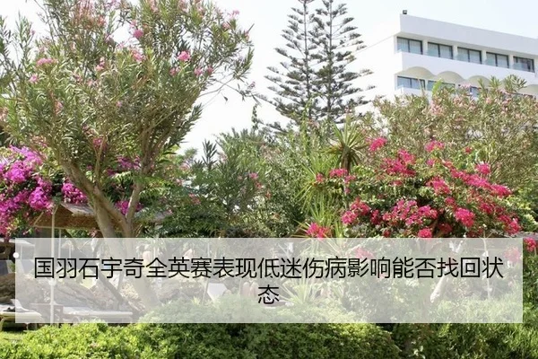 国羽石宇奇全英赛表现低迷伤病影响能否找回状态